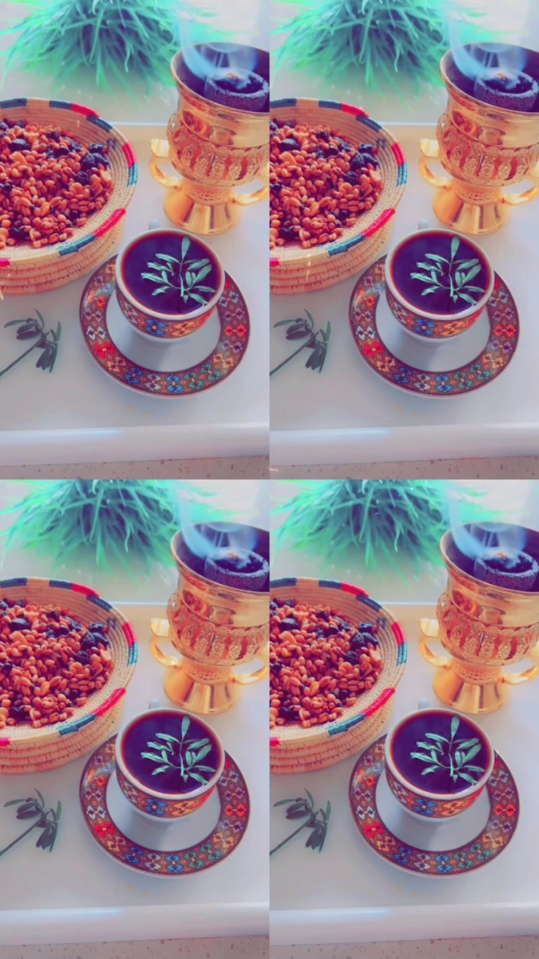 @ethiohabesha53