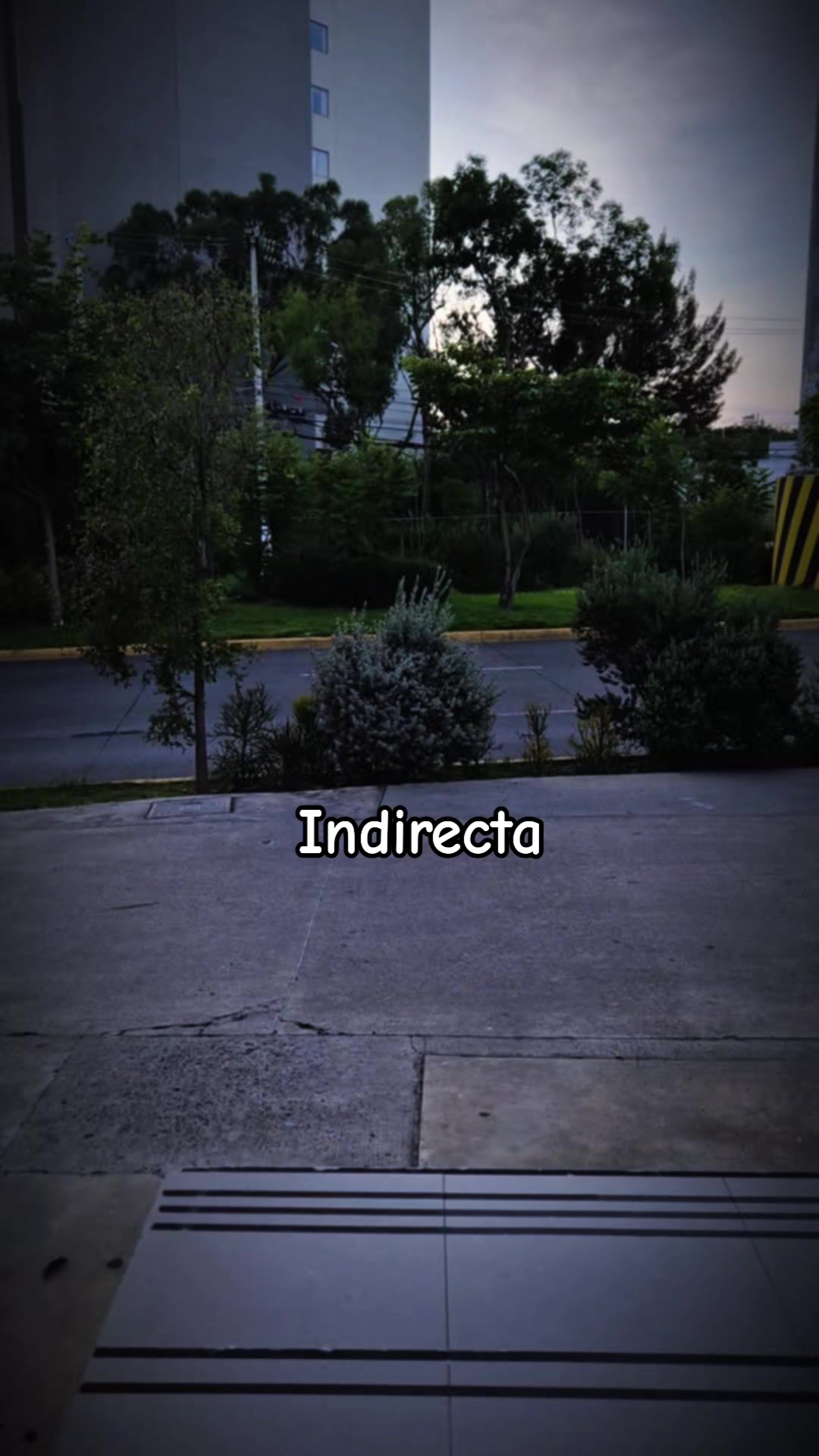 @Ara Rodriguez