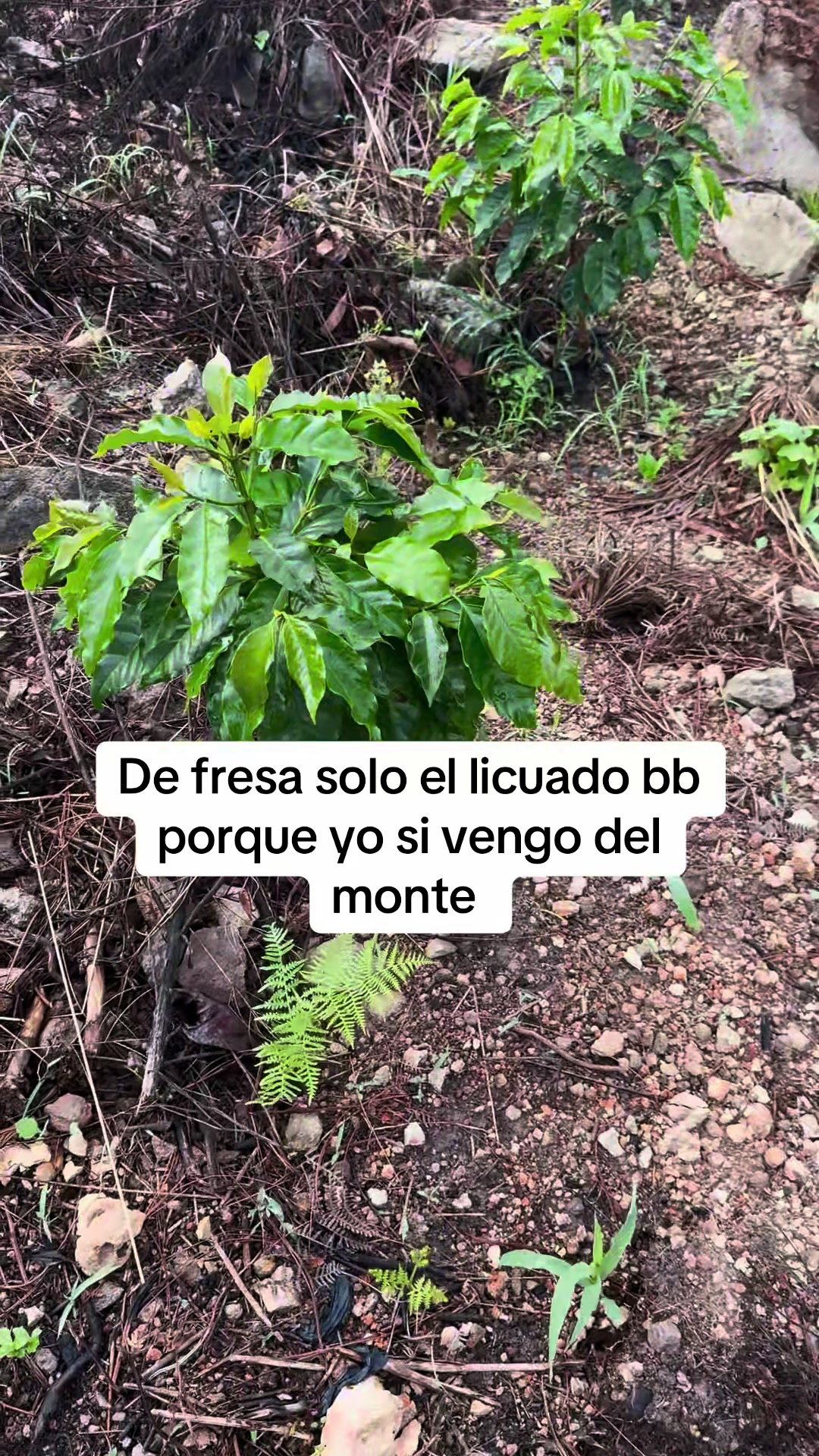 @Marlonsorto