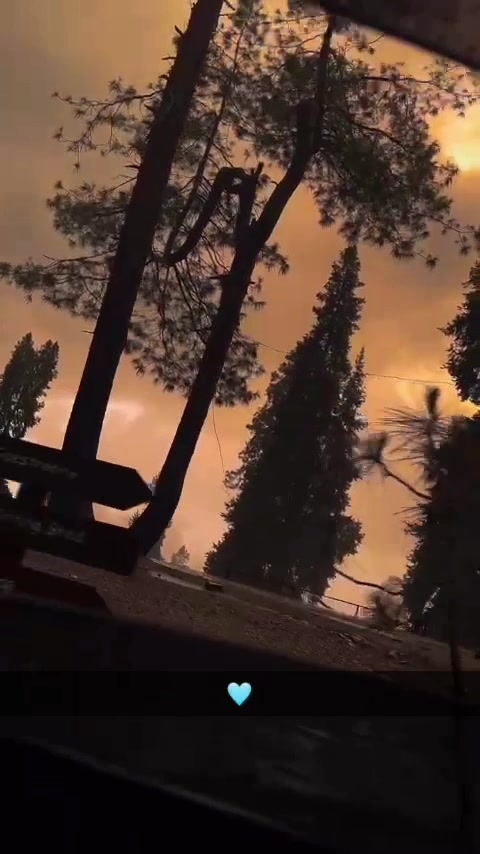 @A R E E J
