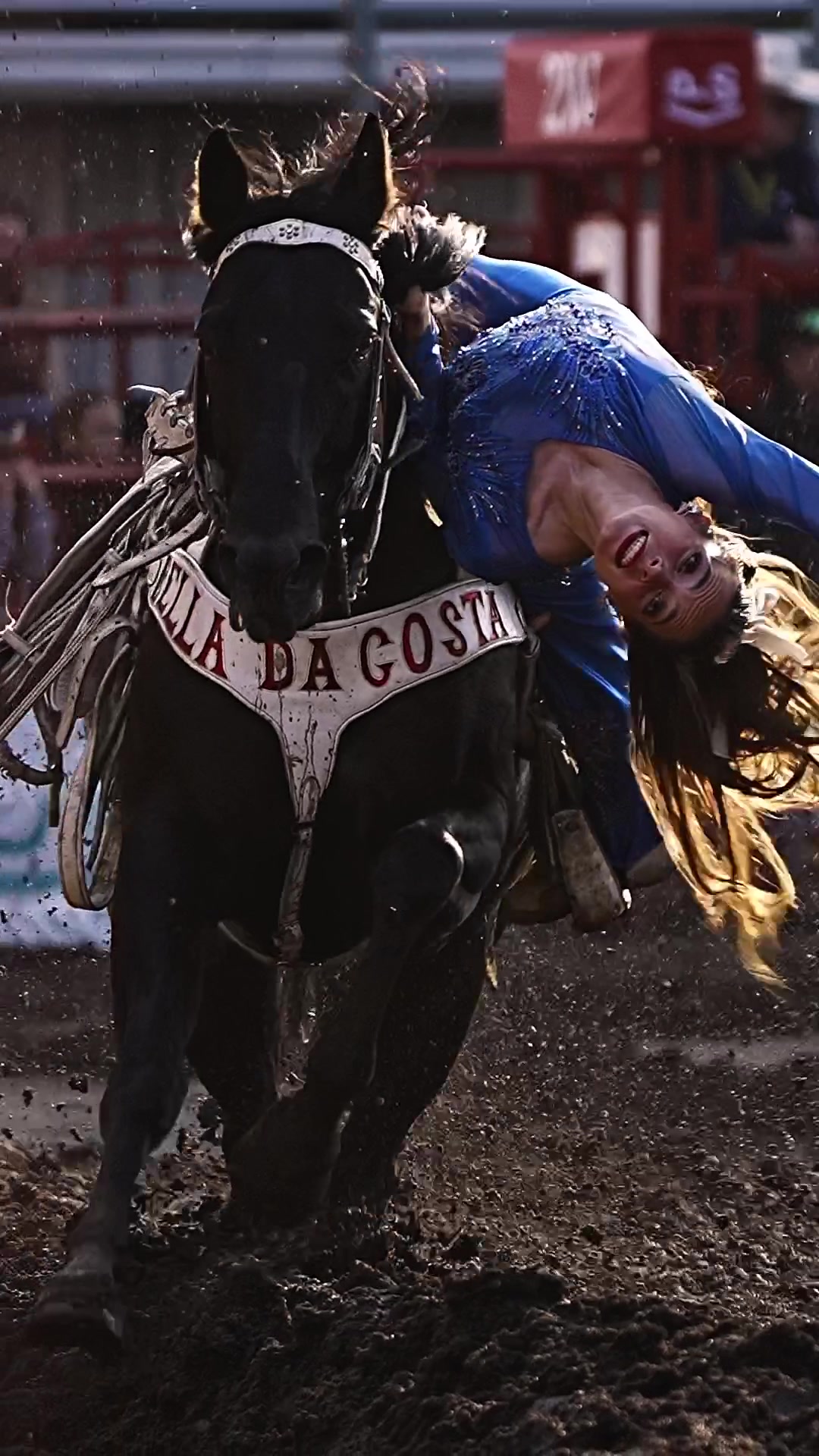 @Hanginghorses