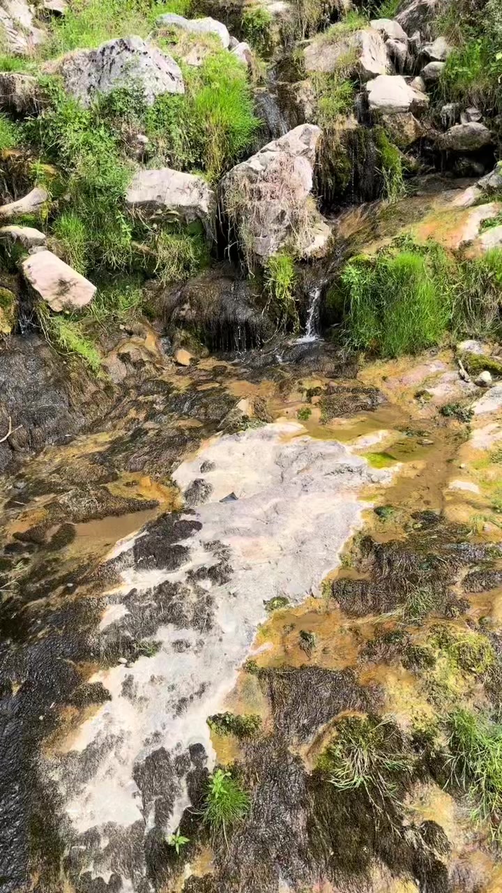 @ابوالمهند