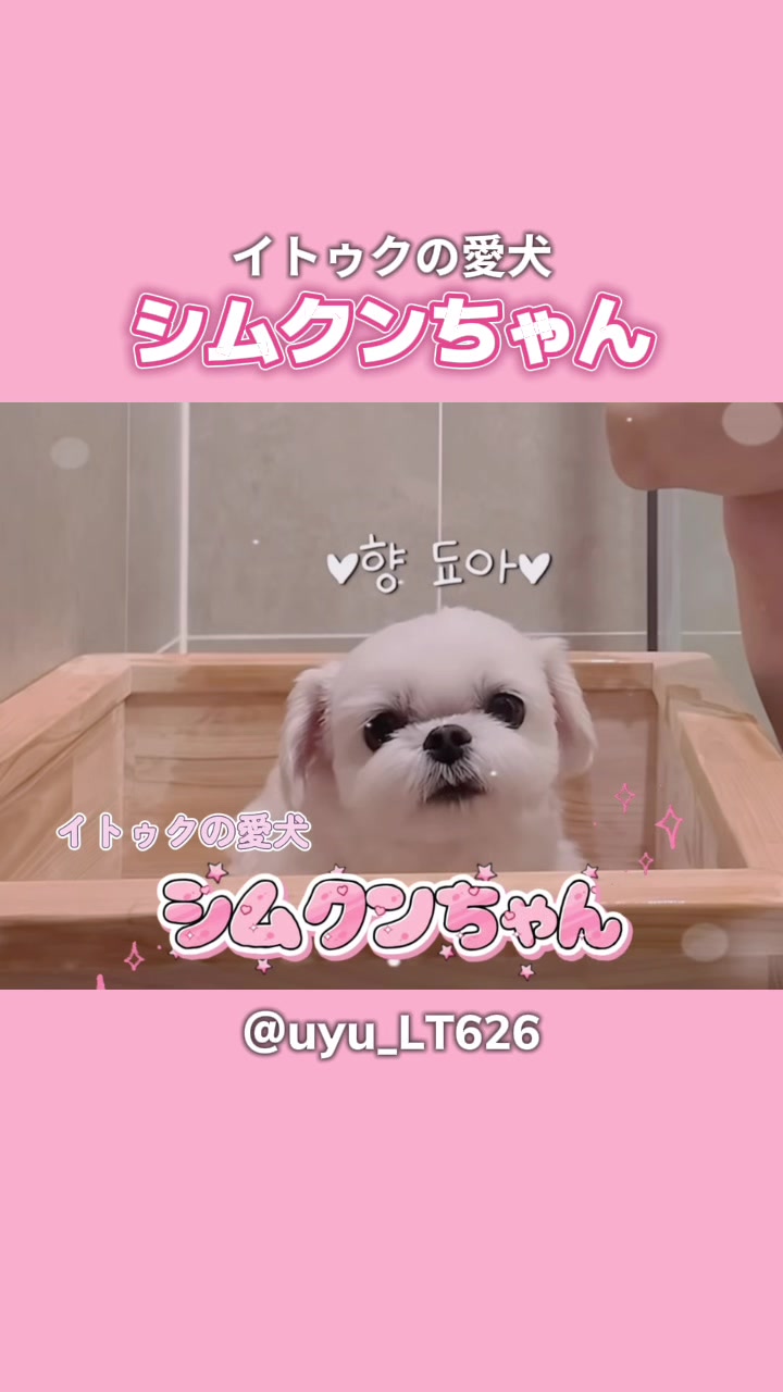@໒꒱