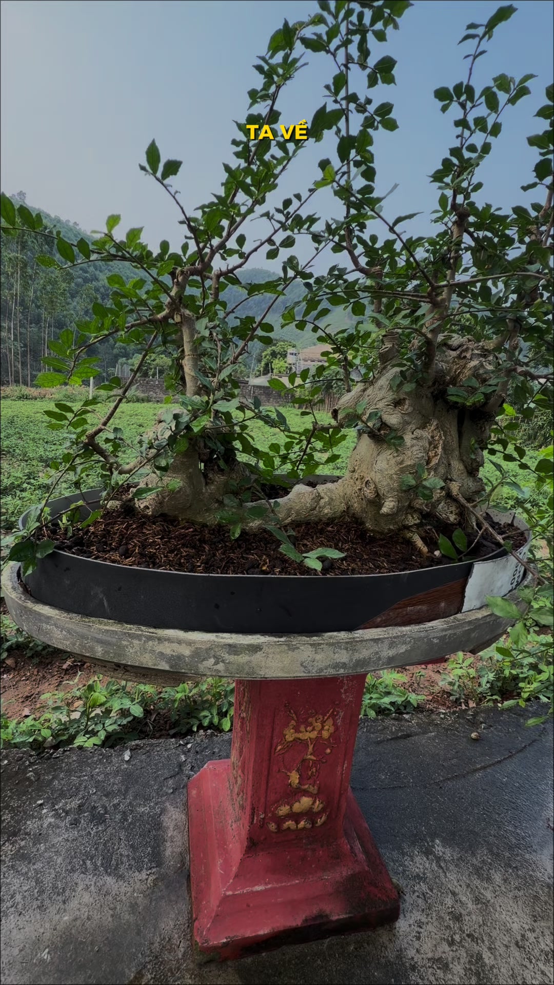 @Anh công
