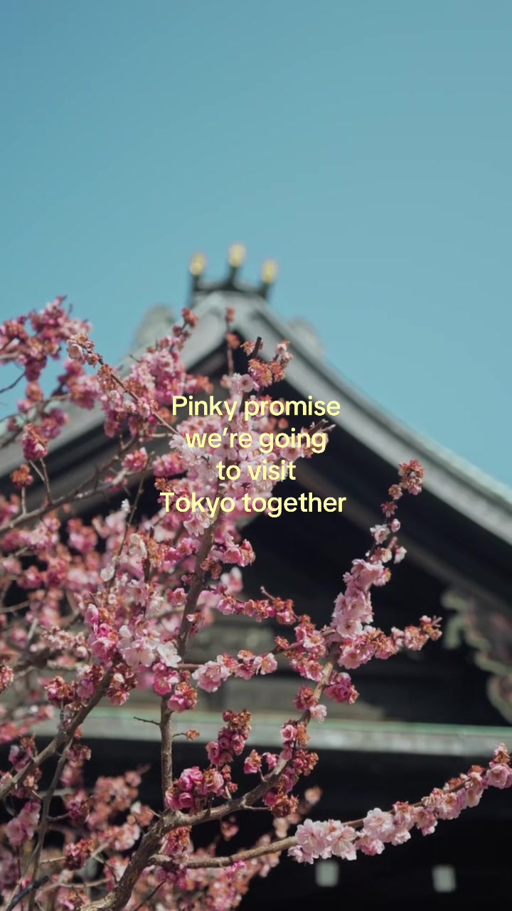 @Tokyo