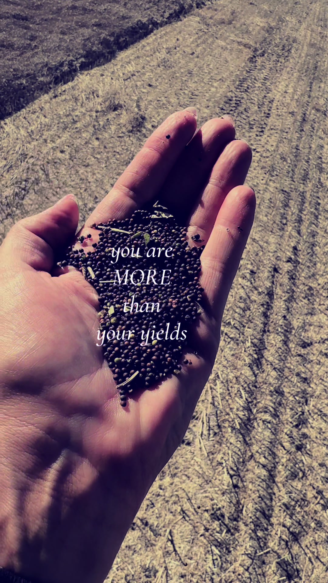 @Farm Geek