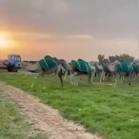 @عذب