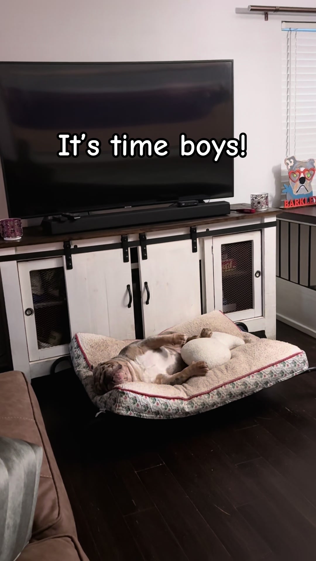 @barkleythabulldog