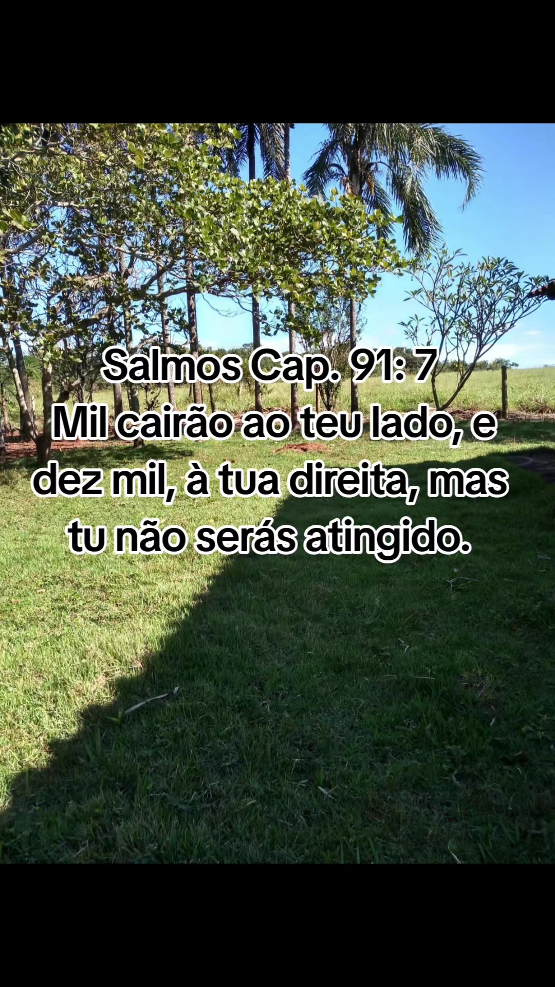 @Eliana Silva