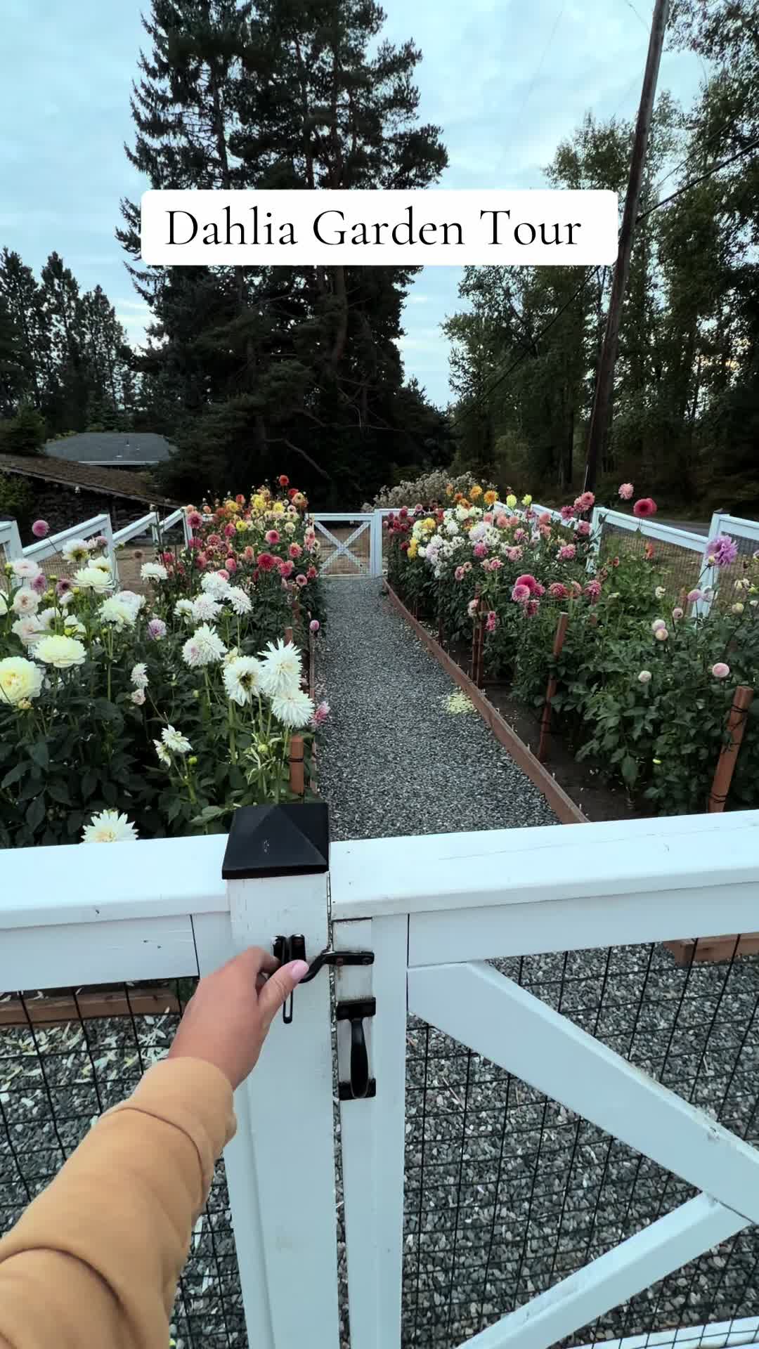 @Only The Pretty Petals