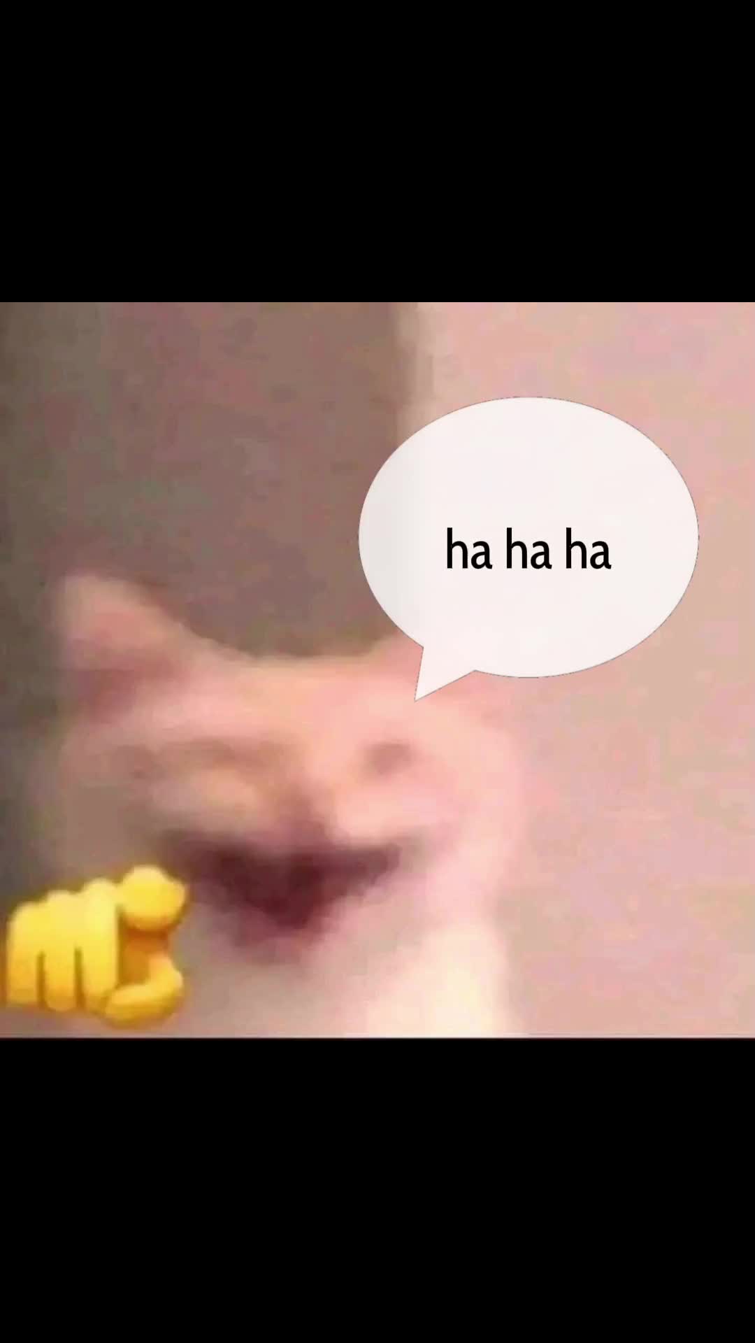 @Shigeo