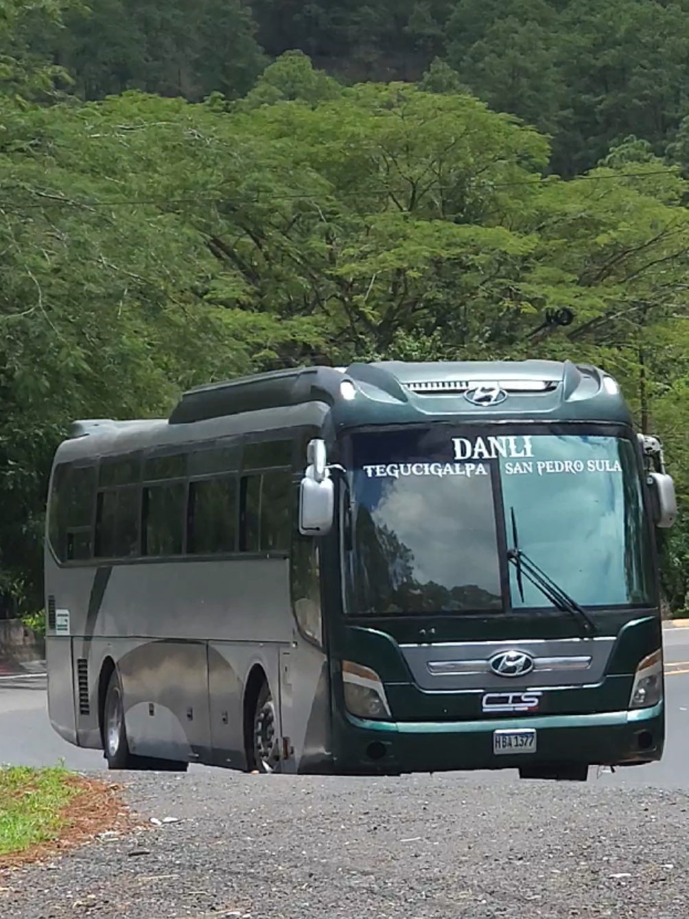 @BUSES FERMA_504 📸🇭🇳