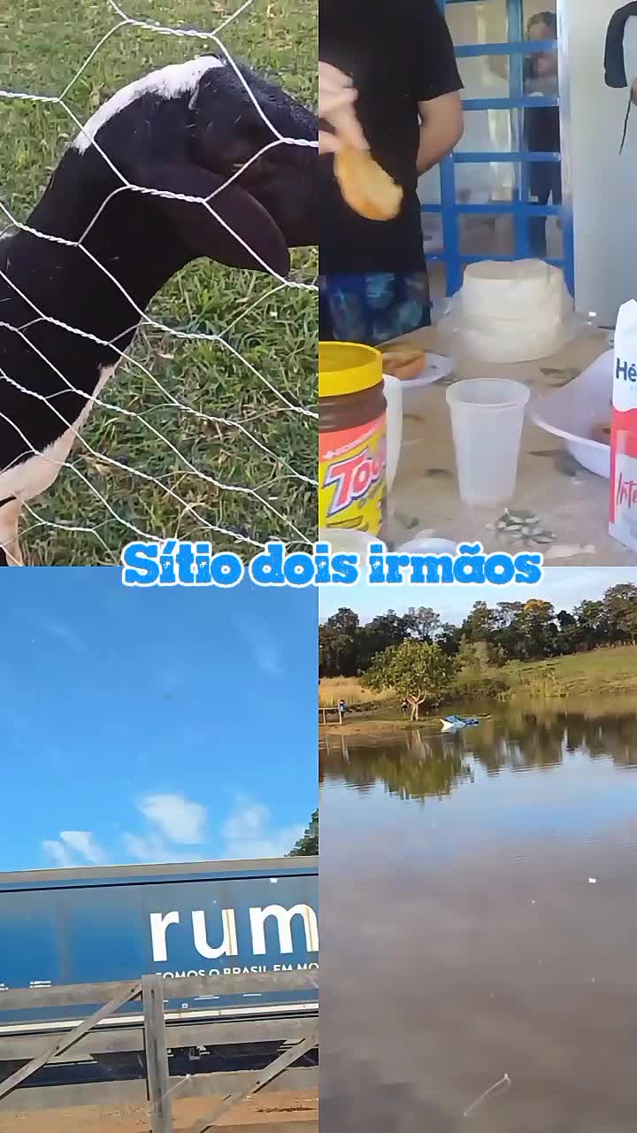 @Alessandra Flores