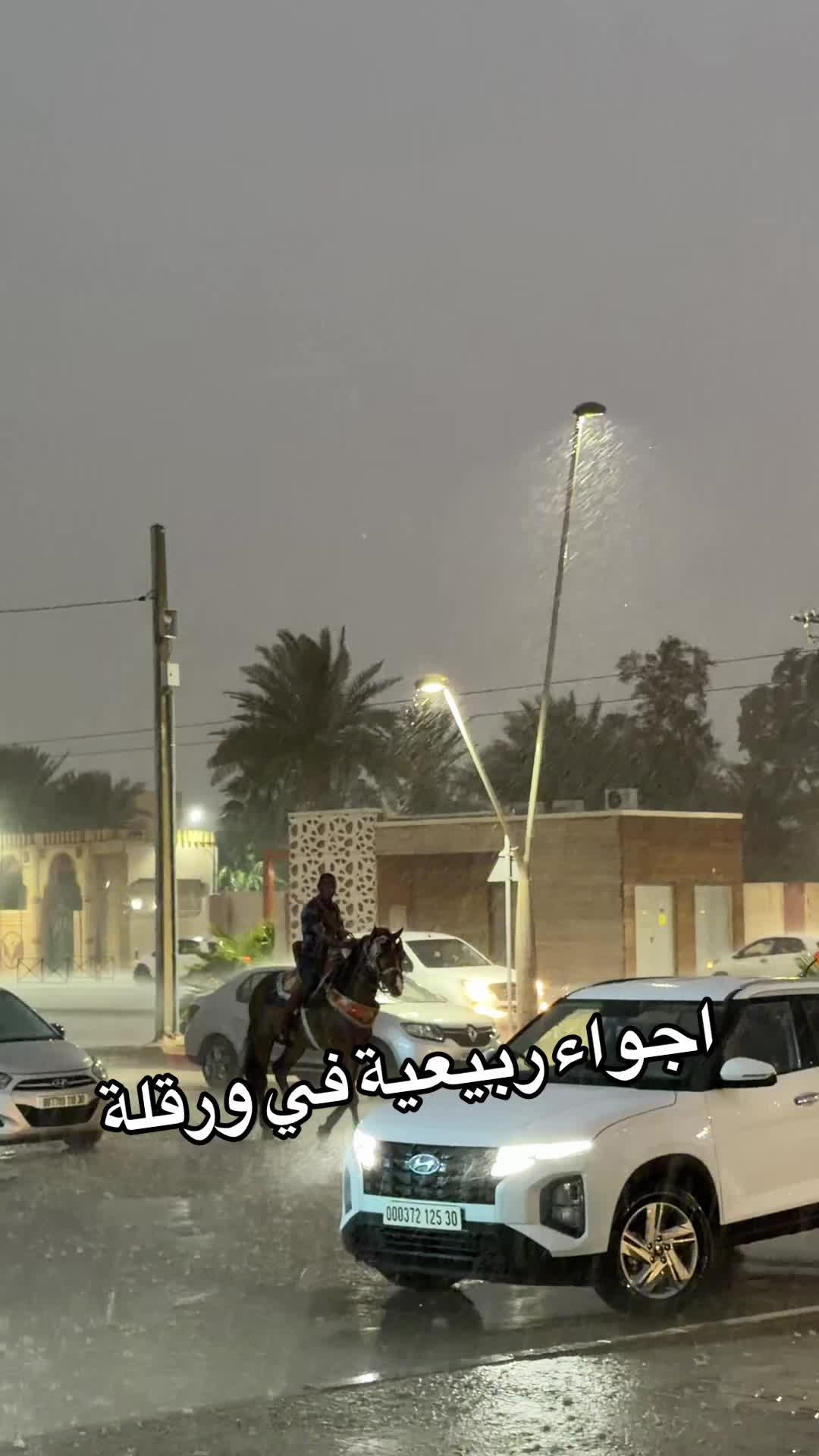 @𝓜𝓸𝓾𝓷𝓼𝓮𝓯𝓑𝓮𝓷𝓪𝓶𝓪𝓻𝓪