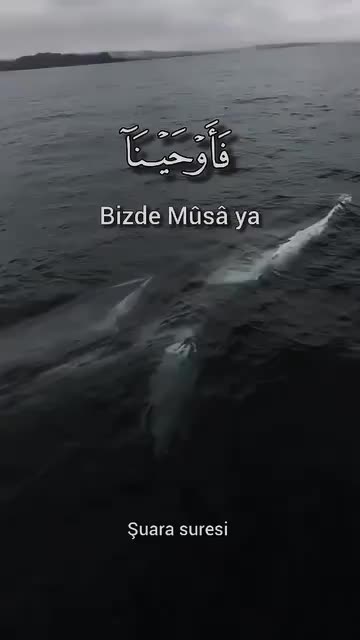 @_Hafizali61
