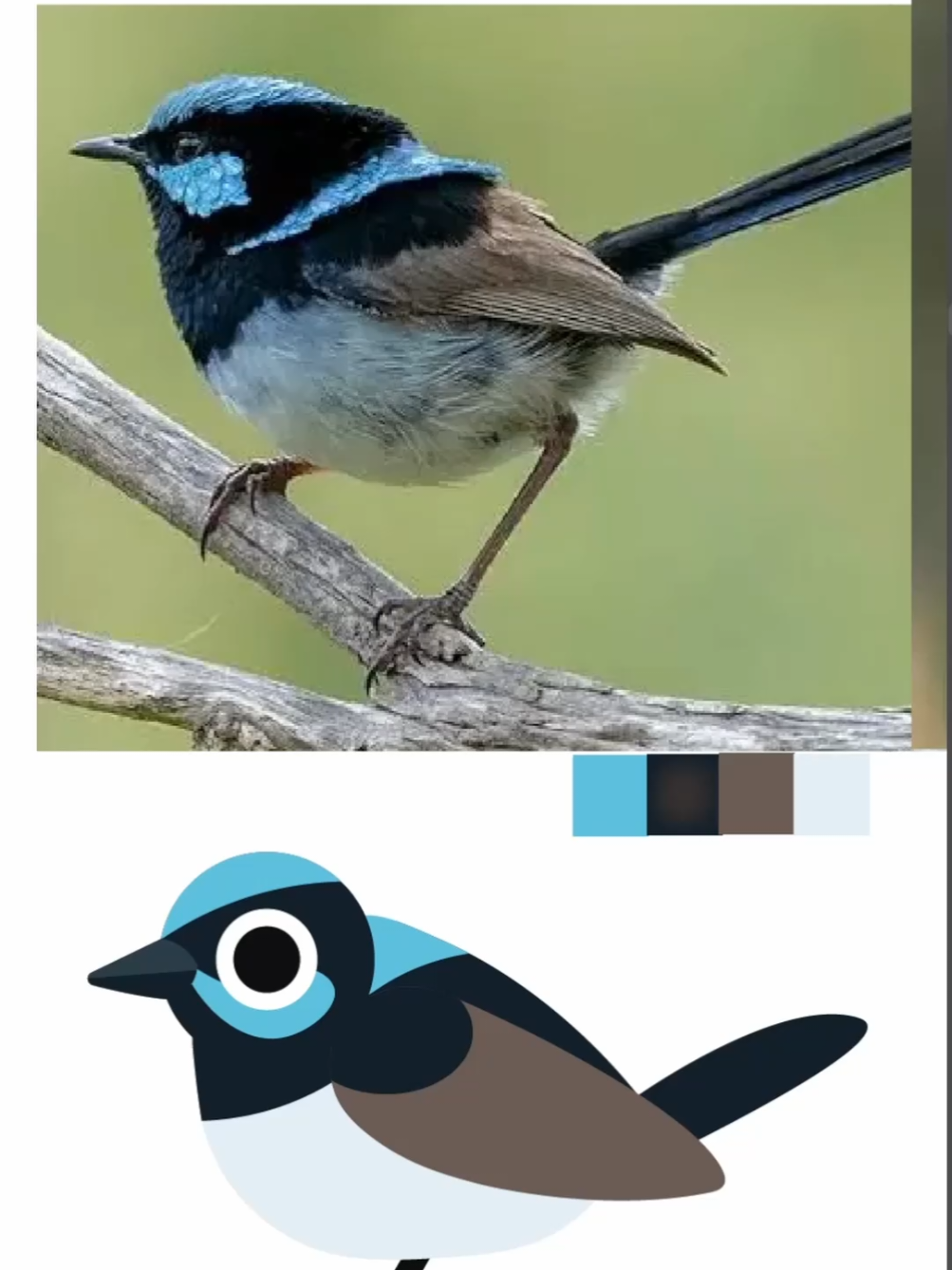 @Flock Around