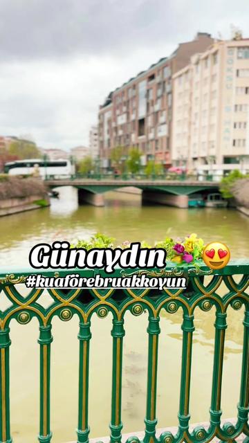 @Ebru Akkoyun