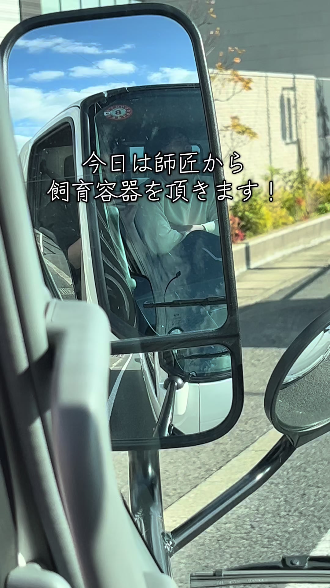 @メダカ屋の見習い🔰