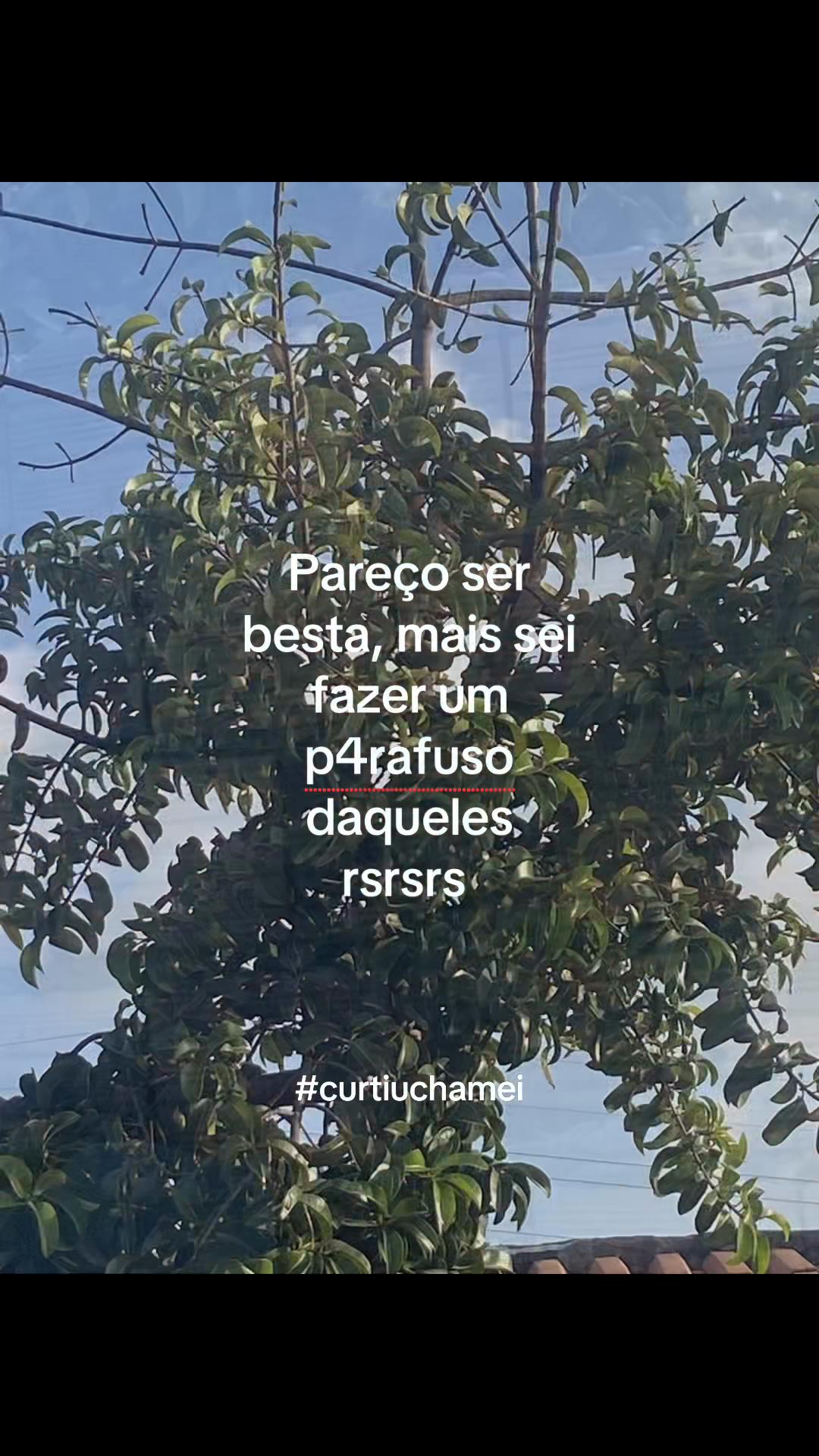 @manuelaypriv