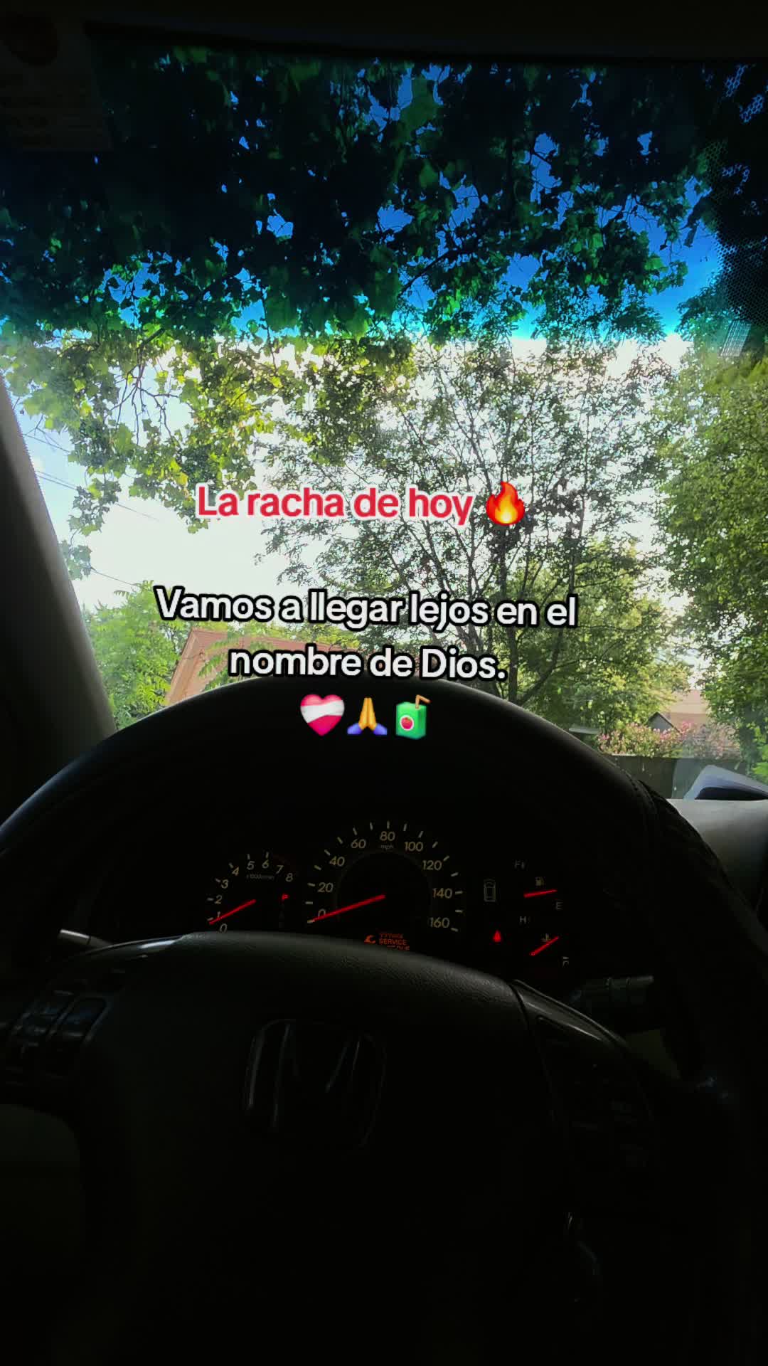 @Wilmer _ Luc 🥷🧃