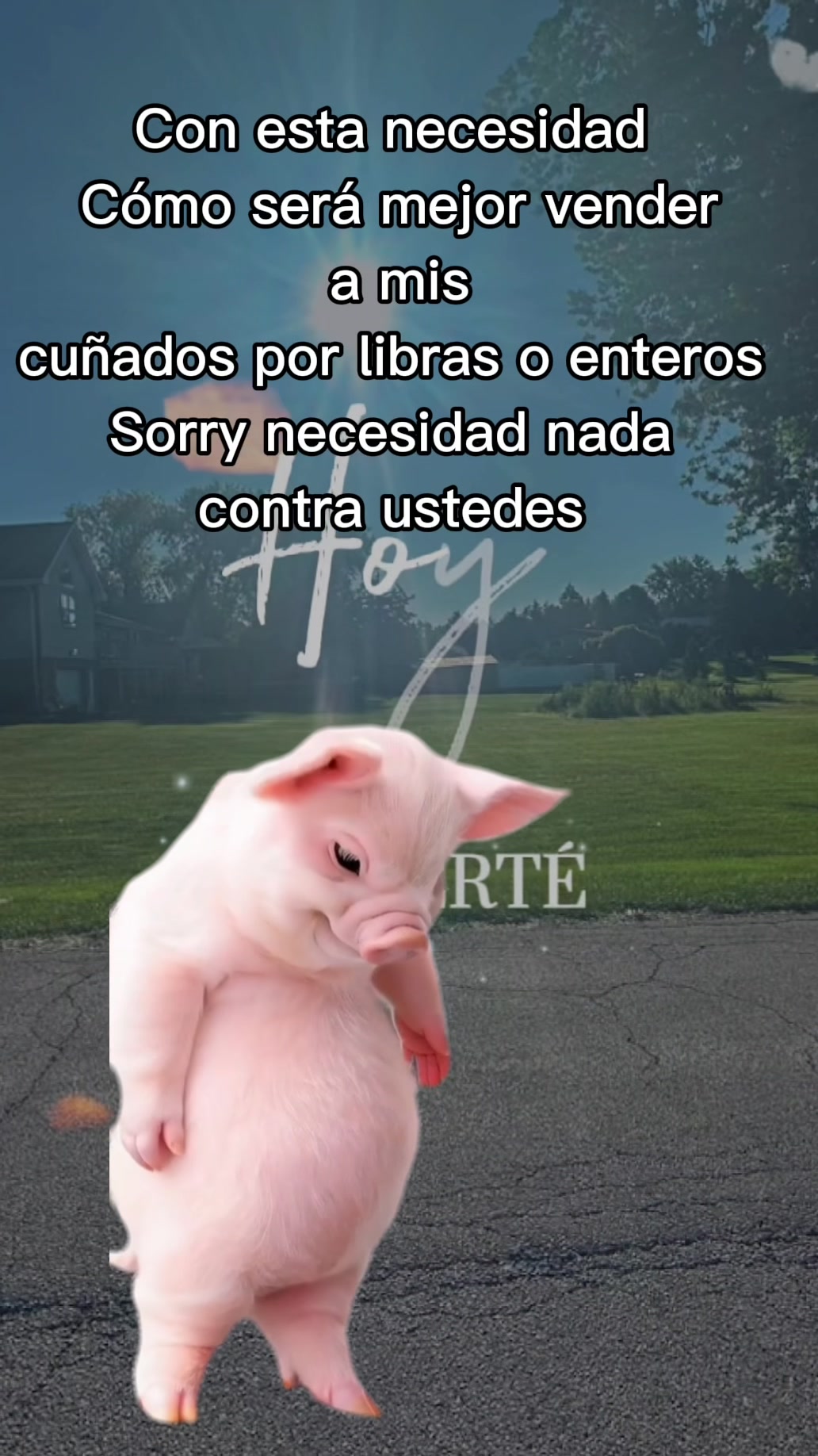 @Geo