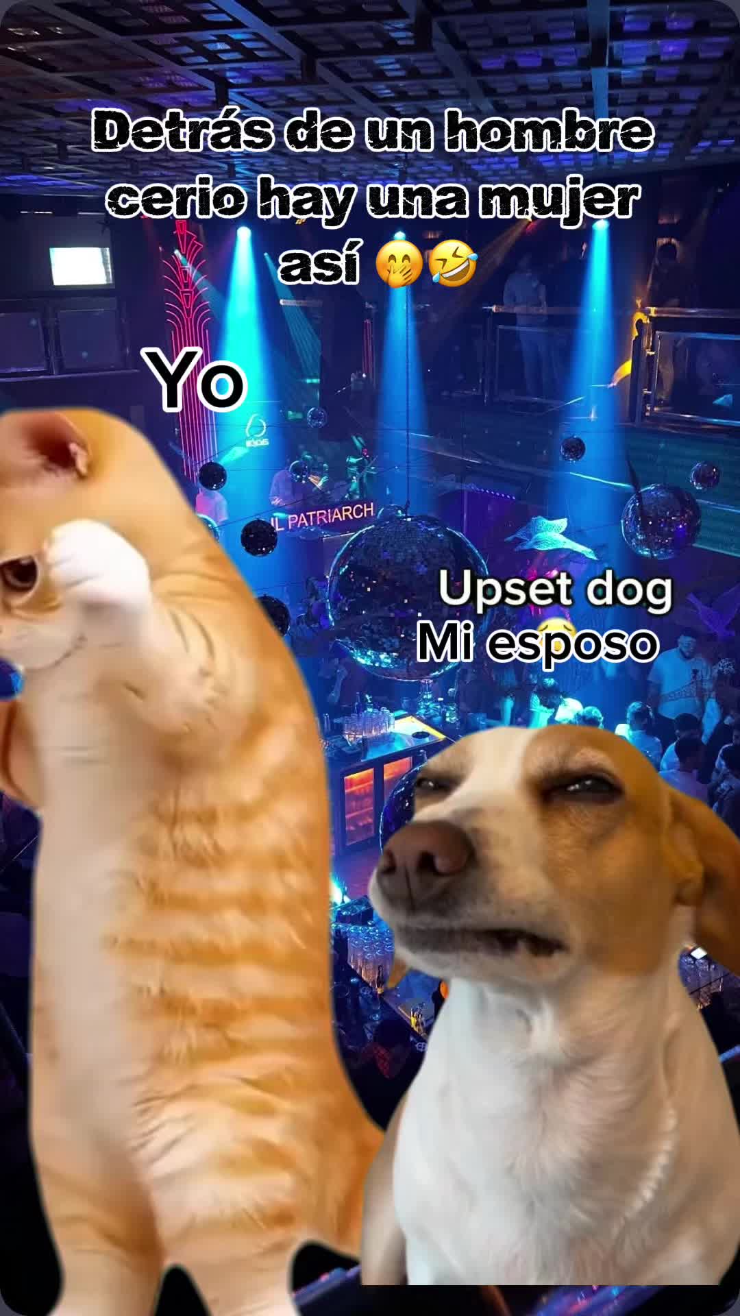 @🧃🍀🫀💋🦅LaTerrible69🌶️🇻🇪