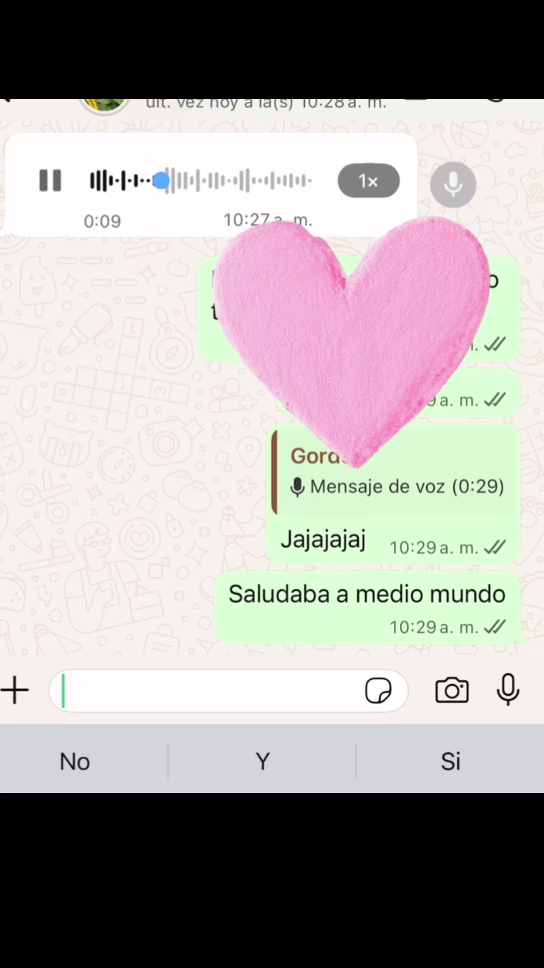 @Sofi belen