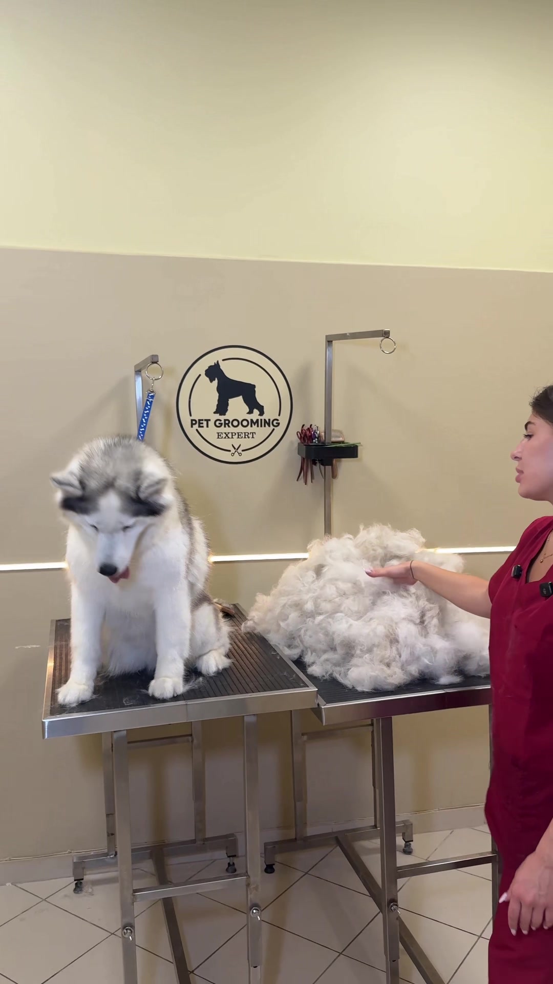 @PetGroomingExpert.md