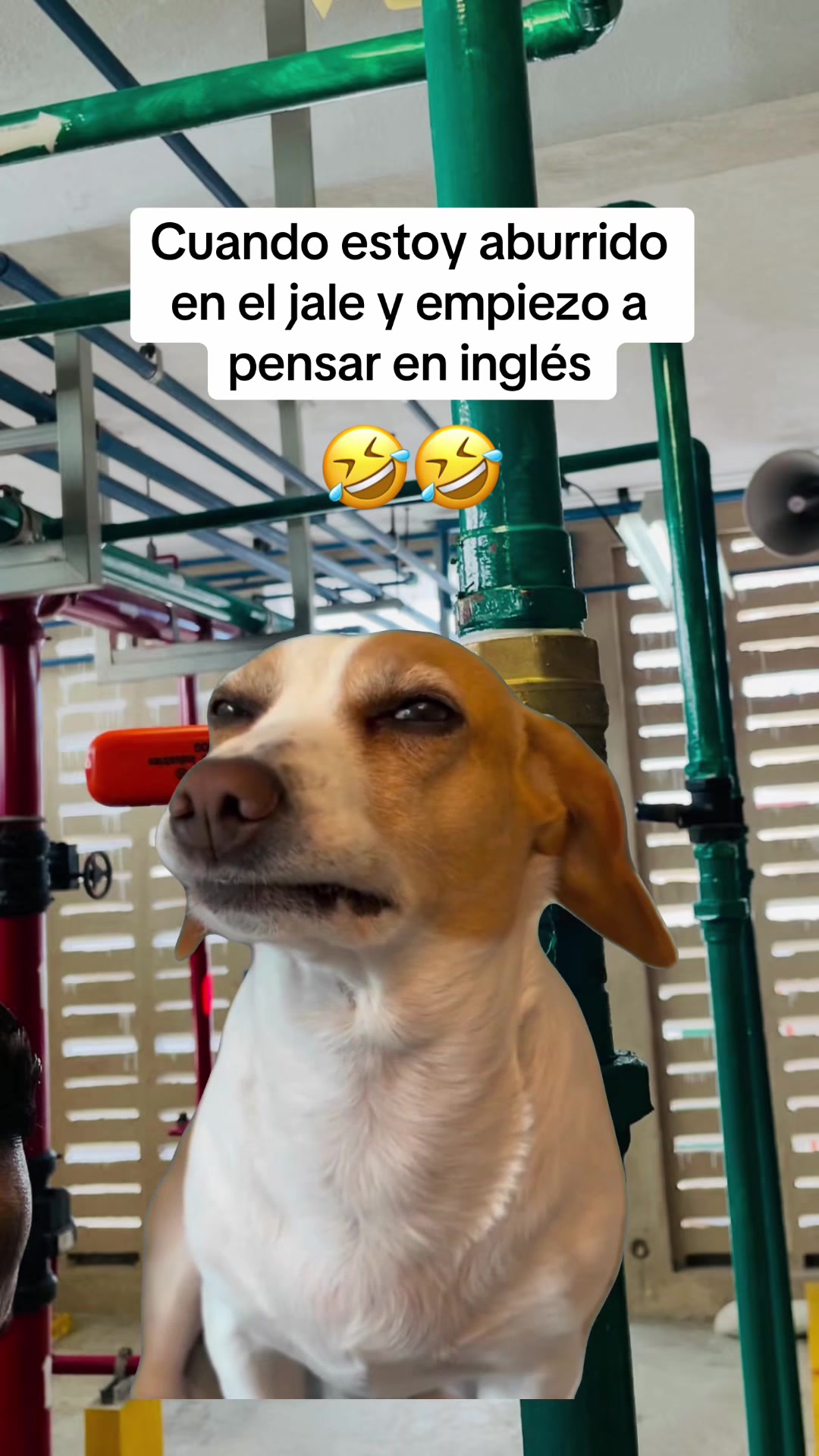 @Dennis Perez Roman