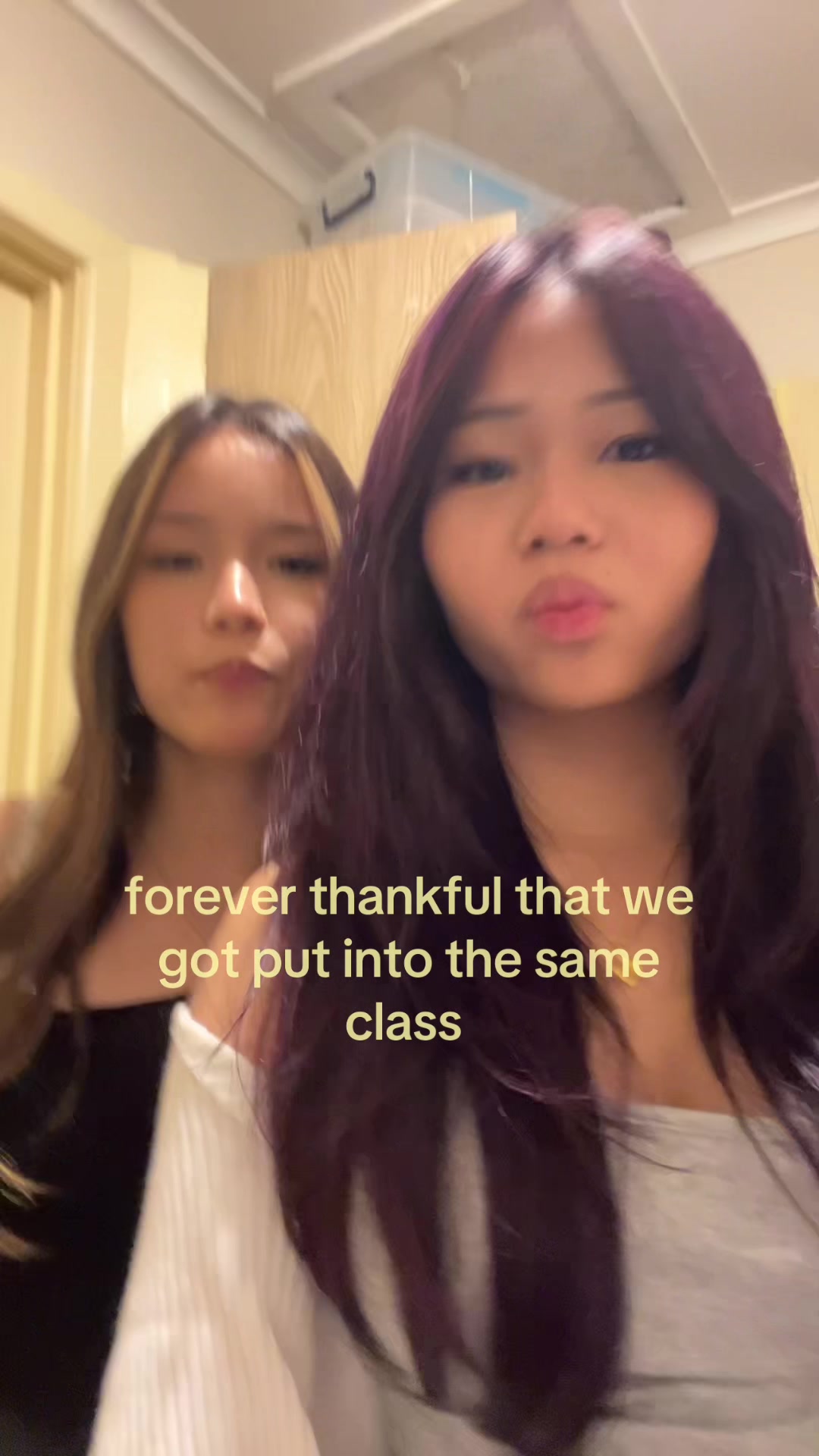 @hotcheetos5670