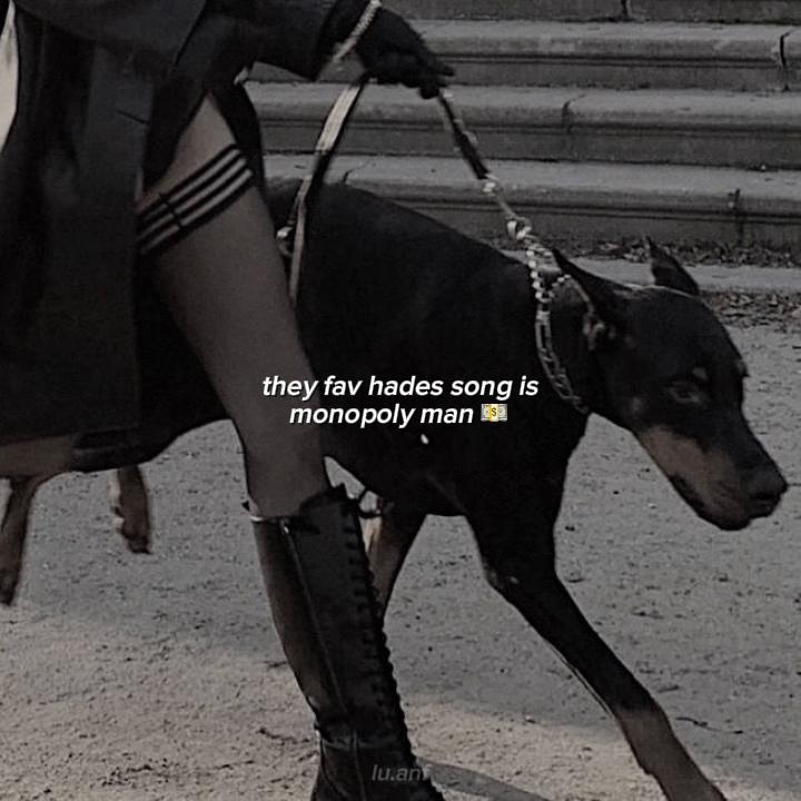 @lulu