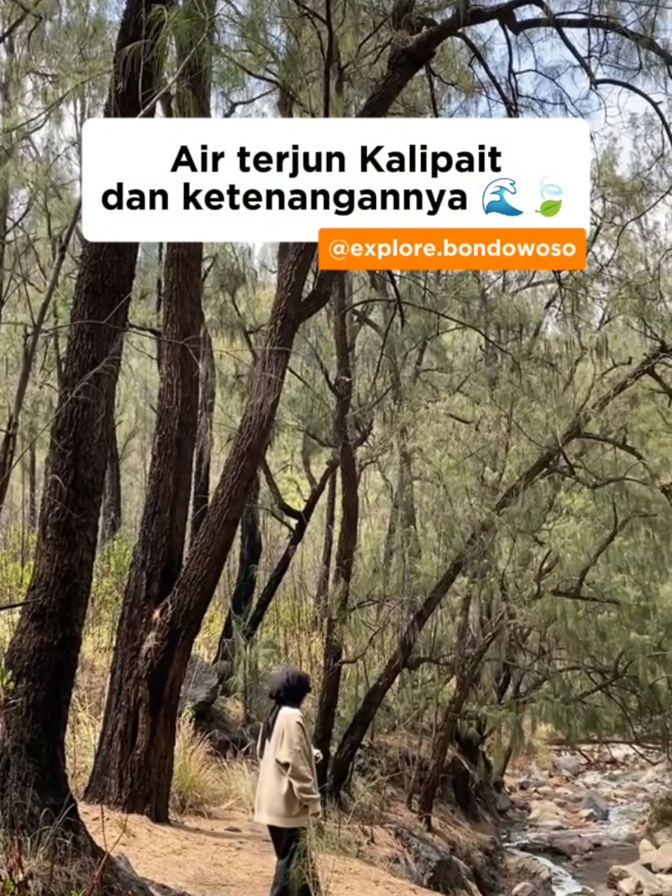 @explore bondowoso