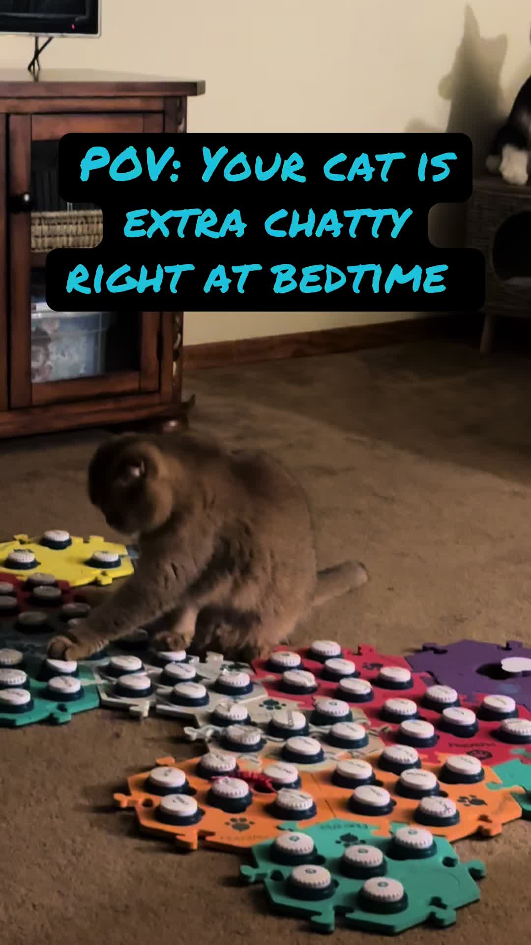 @Puffindoestricks