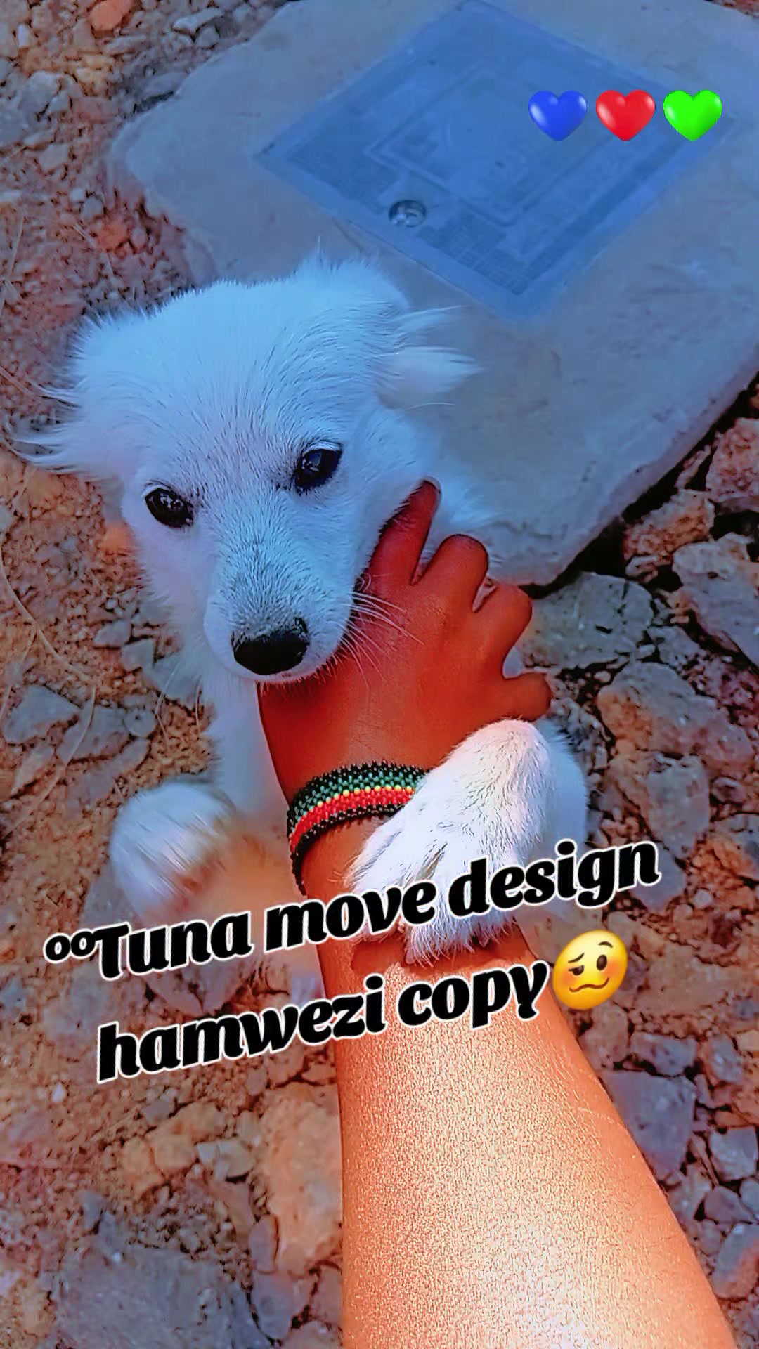 @🍫Bobboh🖇Babie..🎀✨️