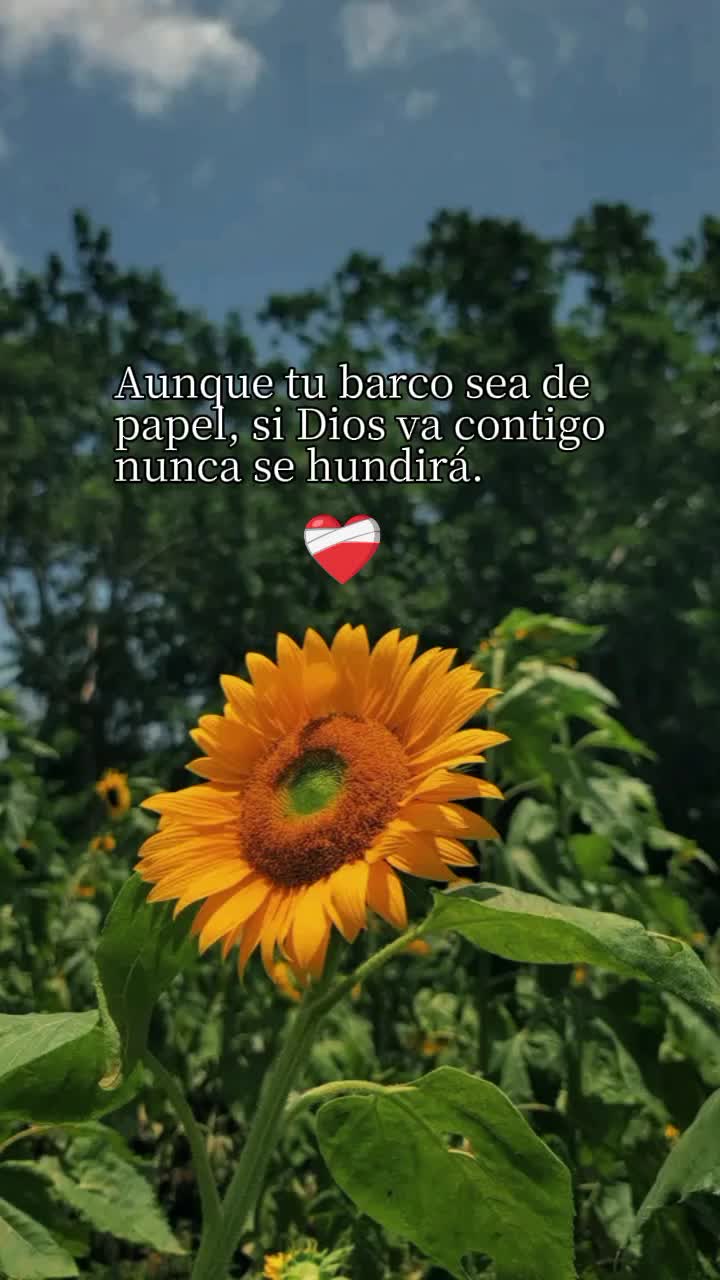 @🇹🇷✨Erika_Dub&oacute;n🇵🇹💖
