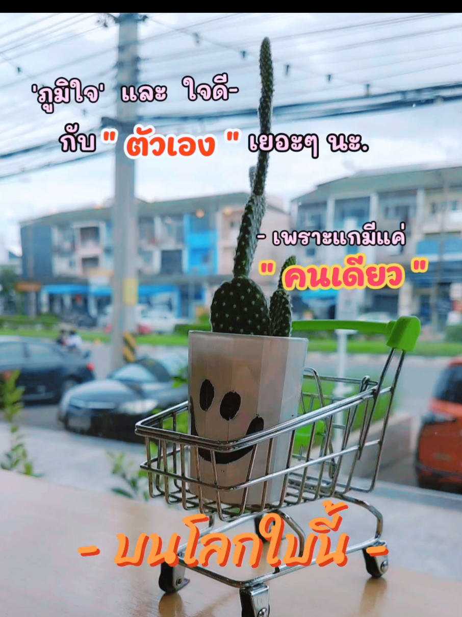 @☆&bull;: *ⒿⒶⓃⒼ*: &bull;☆