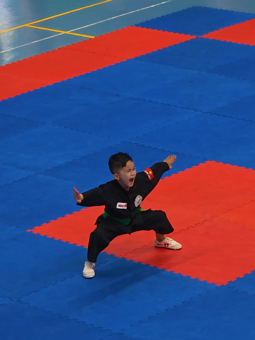 @V&otilde; Đường Tr&iacute; Vũ🇻🇳
