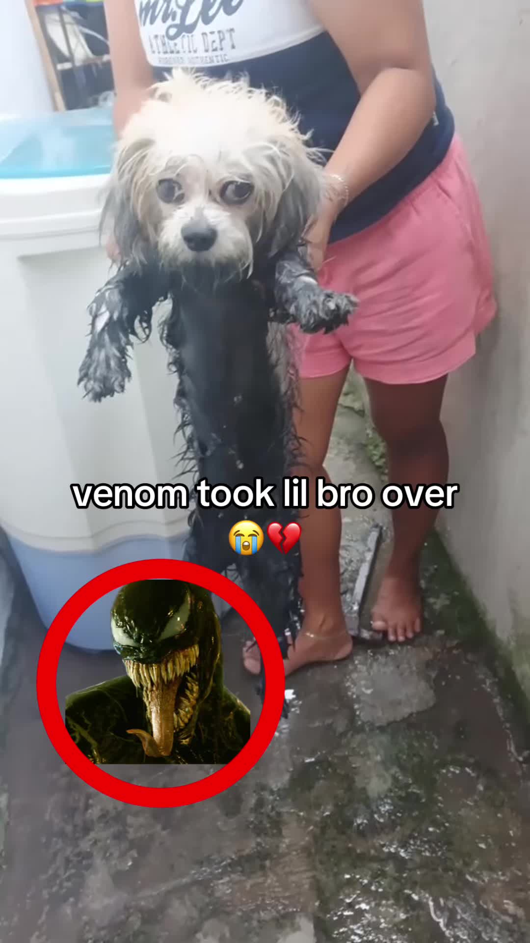 @bababooy1.2