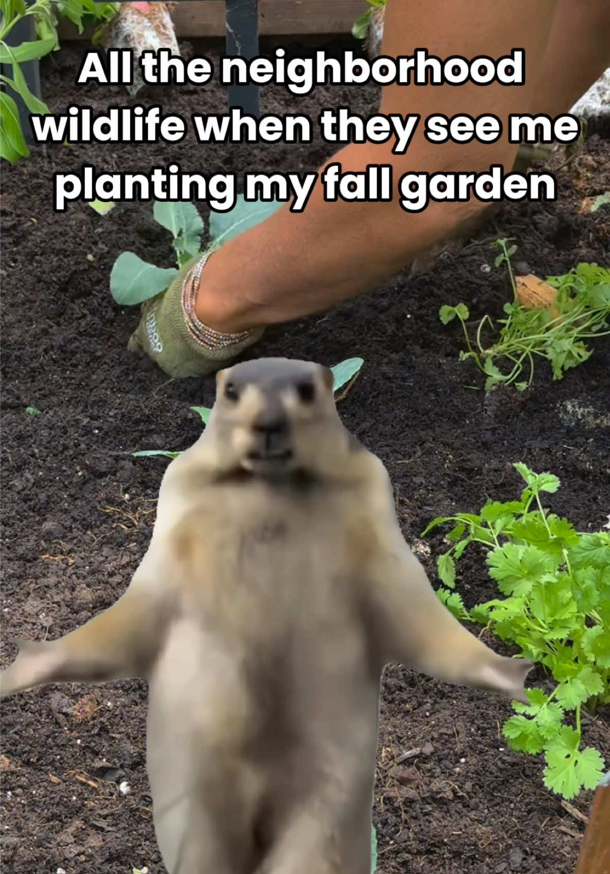 @Gardenary