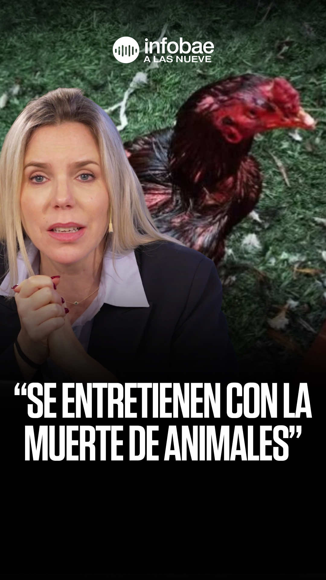 @infobae