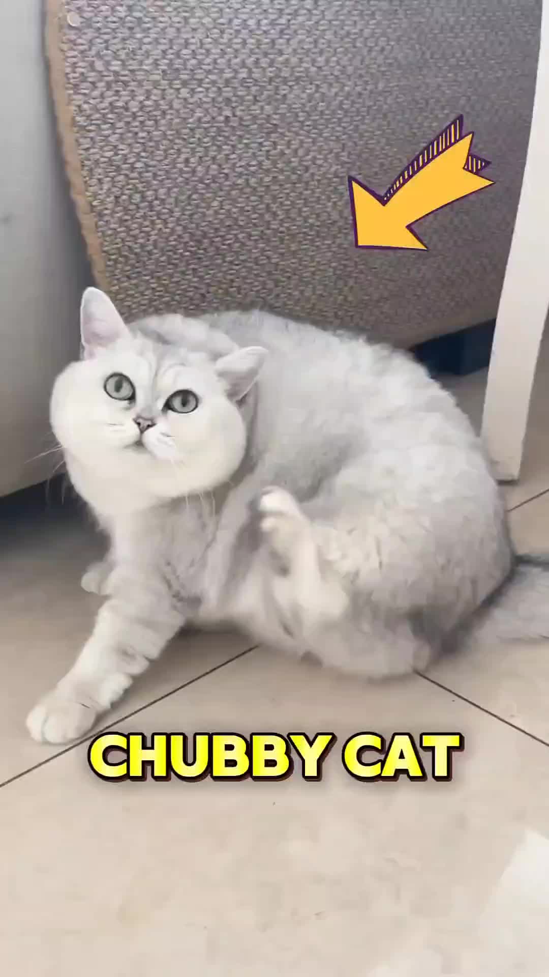 @happy