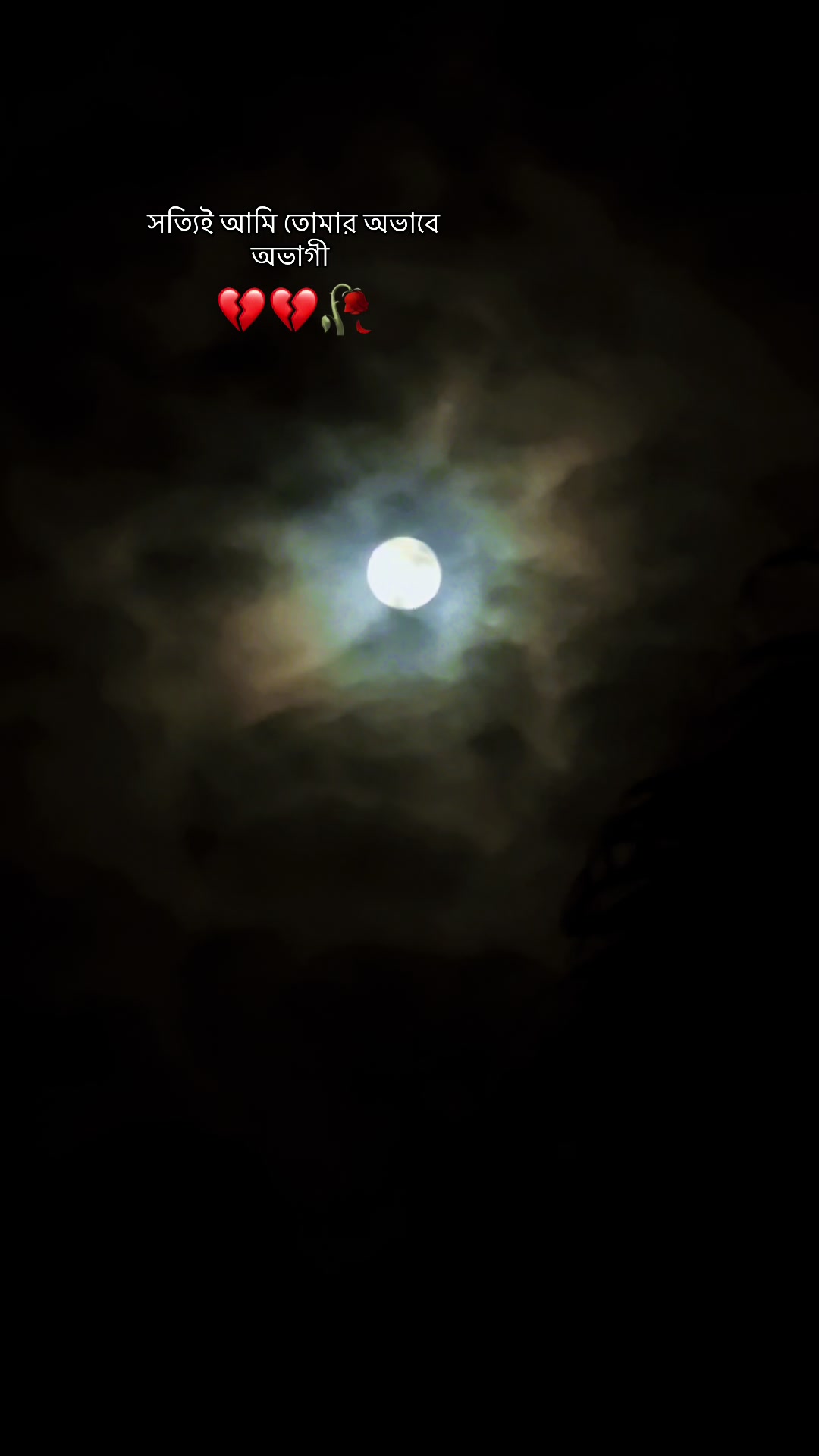 @تومي شودو امر