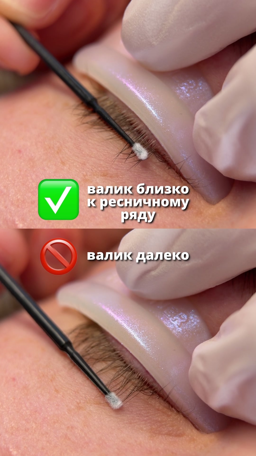 @maksi.browss