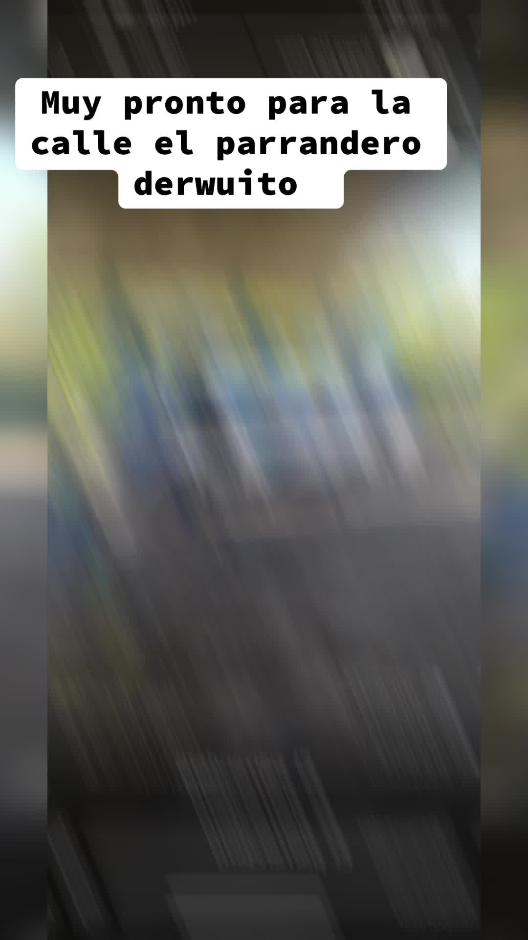 @elparrandero_20