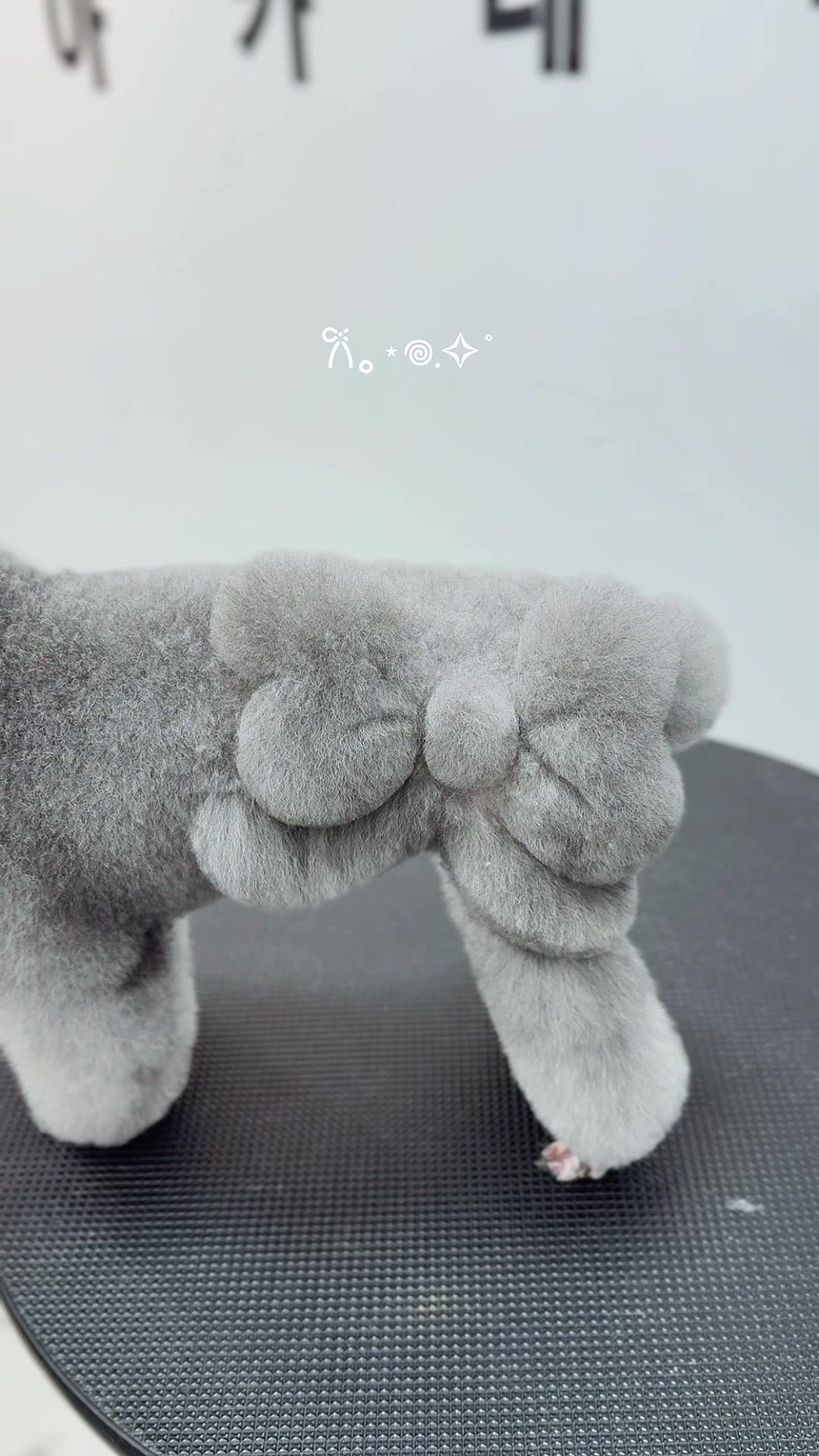 @TuongVan Petstylist