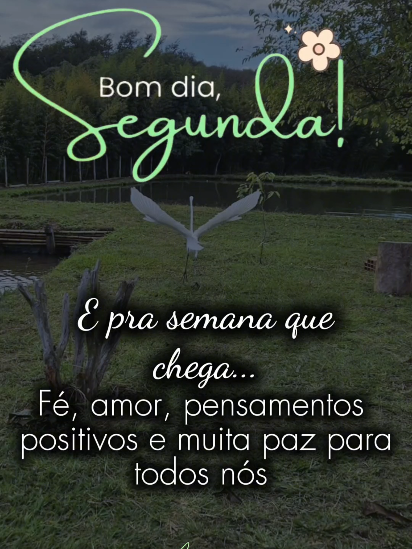 @𝘚𝘰𝘤𝘰𝘳𝘳𝘰🌺🇧🇷