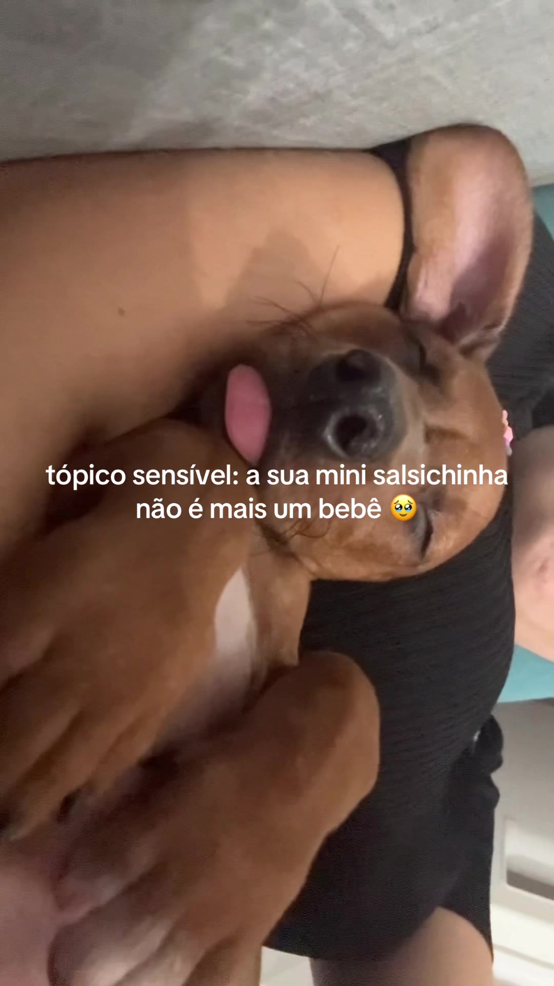 @Vivi Lima :)