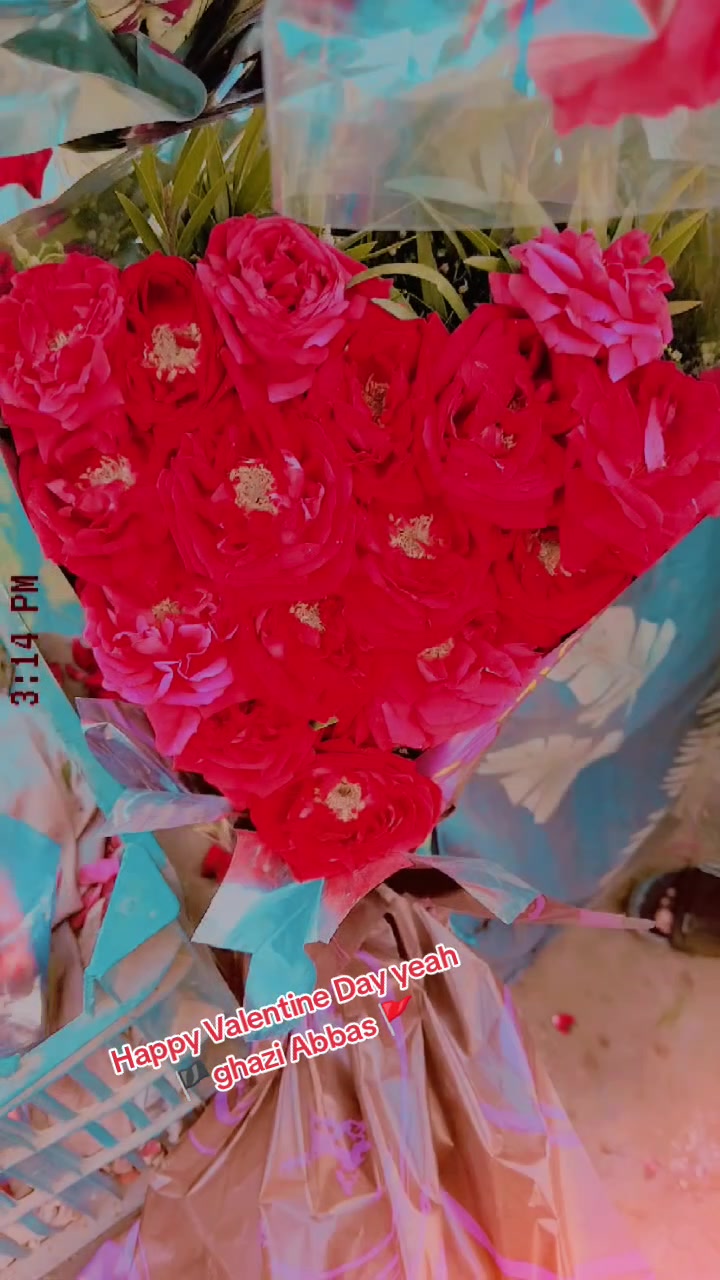 @qasimali8776