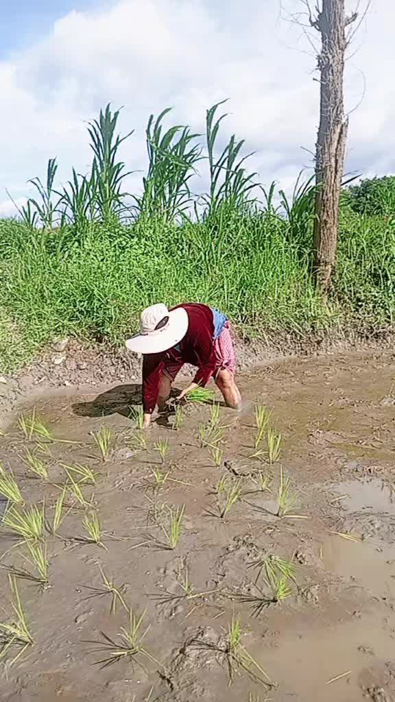 @Smita rai