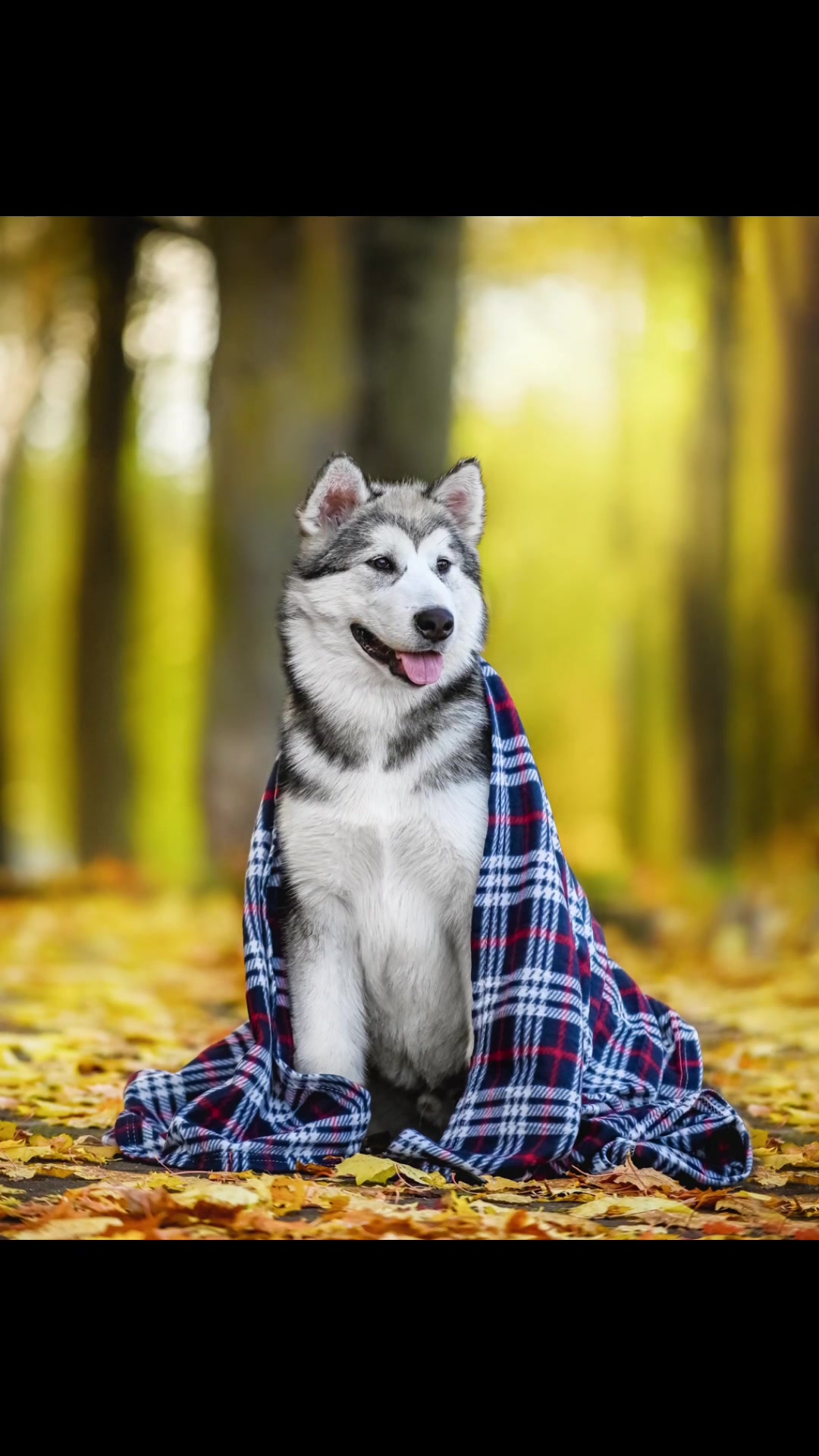 @Юлия Мистоева